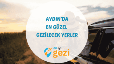 Aydın gezilecek yerler konulu gezi rehberi. Aphrodisias stadyumu, Kuşadası kalesi ve Didim Apollon Tapınağı gibi gezi noktaları hakkında güncel bilgiler.
