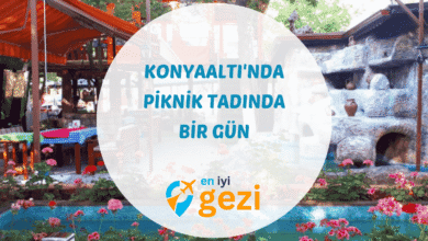 Konyaaltı piknik tadında bahçeli mekan ve ahşap aile kamelyaları Begonvil Plus